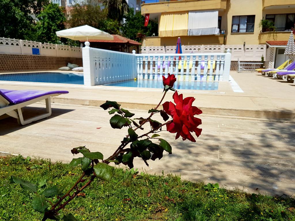 Palmen Apart Hotel Alanya Exterior foto